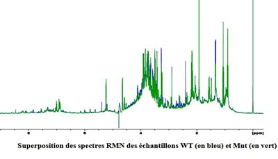 nmr-spectra.png