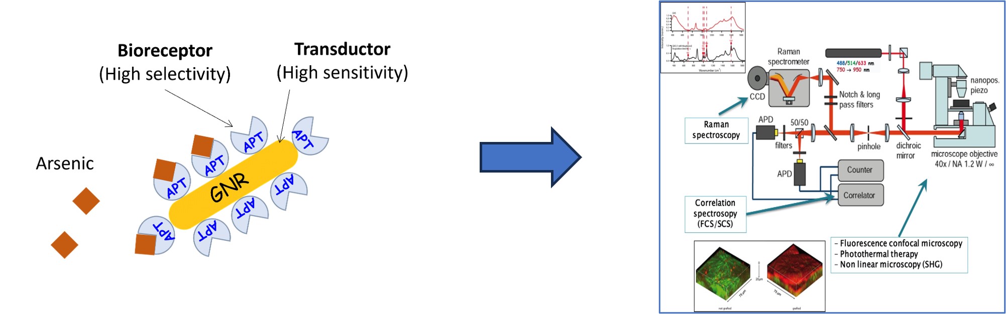 NAnotechS skills