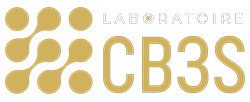 CB3S